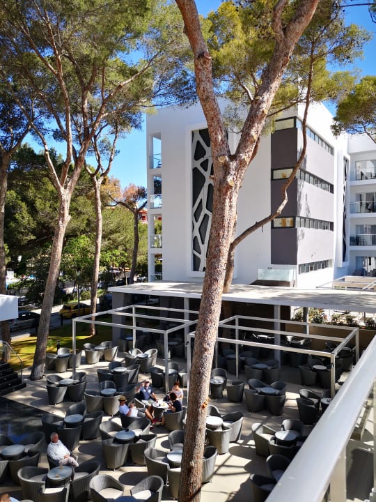 Gartenanlage Hotel Riu Playa Park