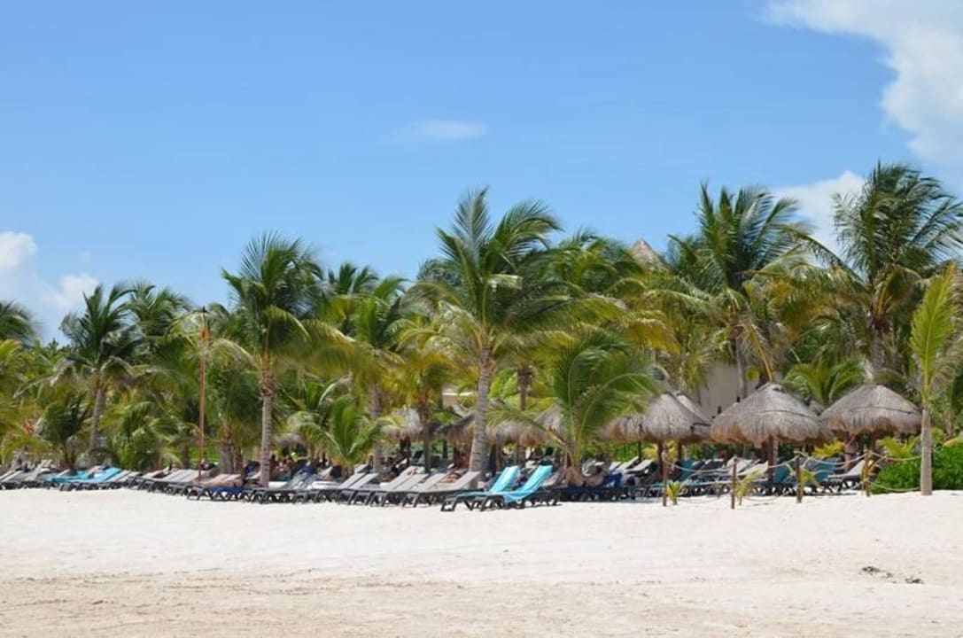 Standard-Bereich Catalonia Playa Maroma