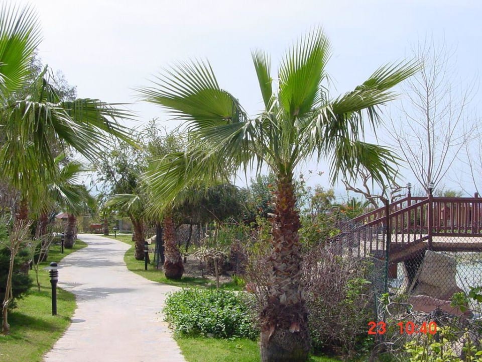 Alba Resort Alba Resort Hotel