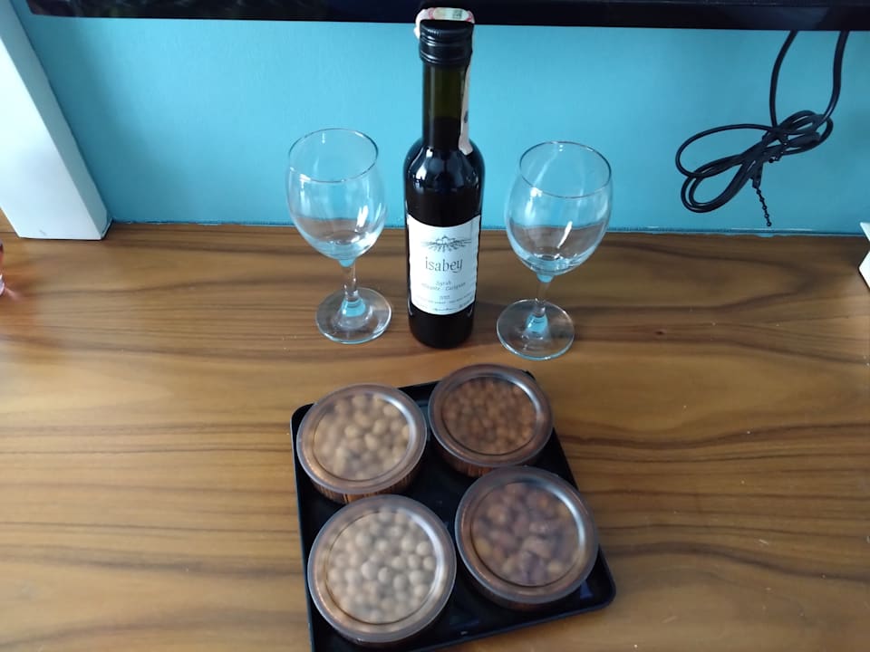 Zimmer Well Palace Side