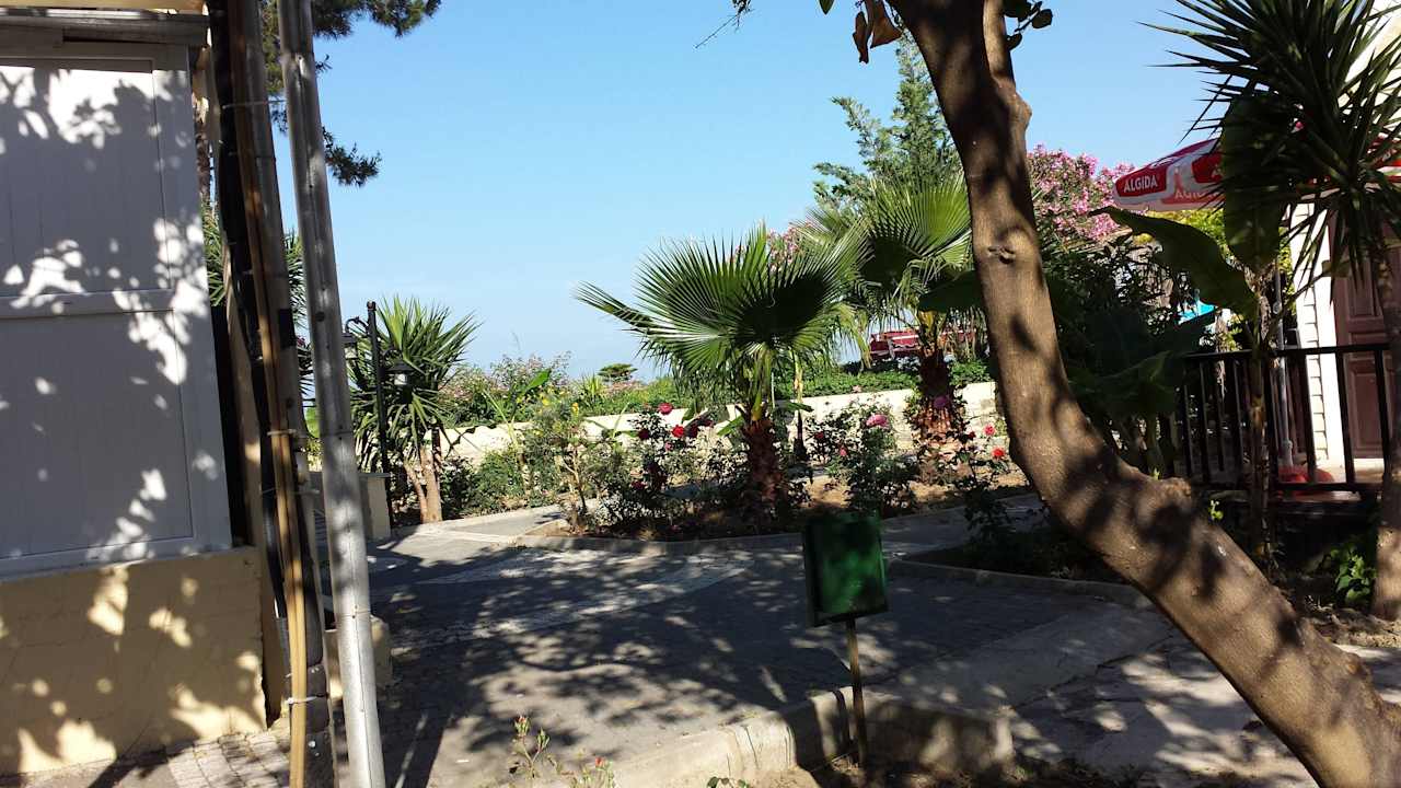 Garten Clover Magic Nova Beach