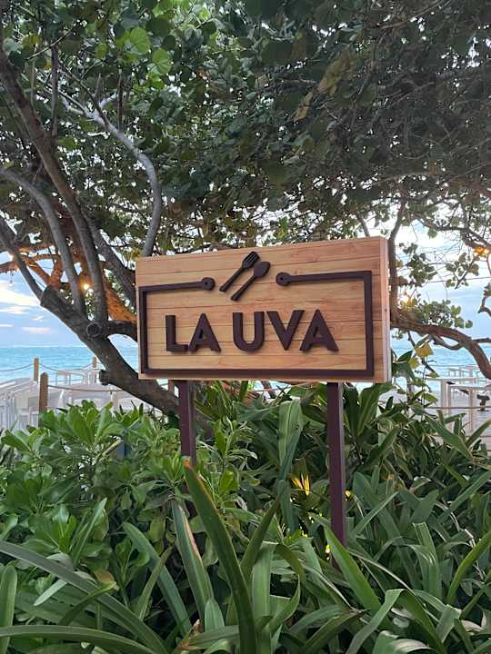 Außenansicht Grand Palladium Punta Cana Resort & Spa