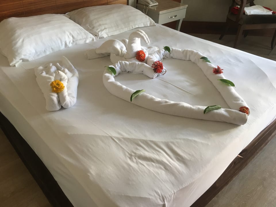 Zimmer Well Palace Side