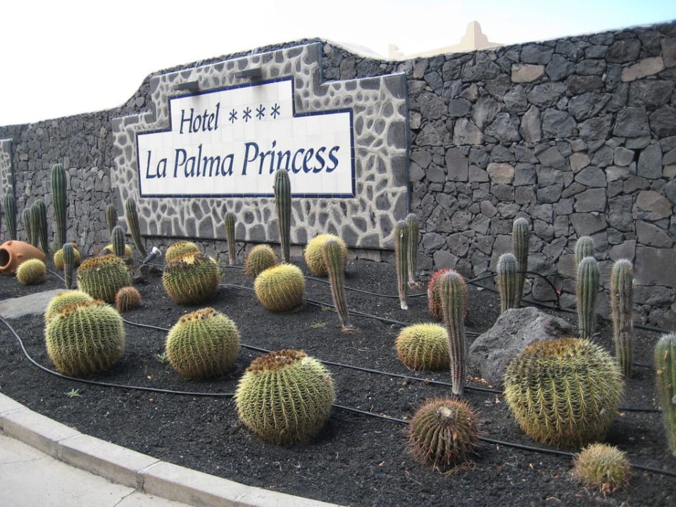 Eingang La Palma Princess