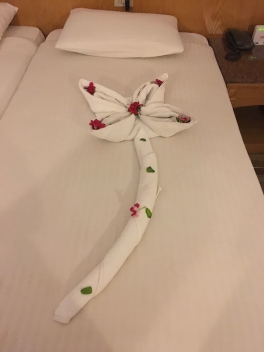 Zimmer Pickalbatros Aqua Park Resort - Hurghada