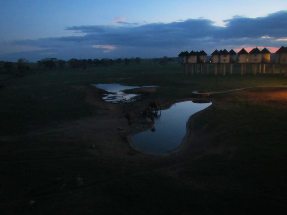 Außenansicht Salt Lick Safari Lodge