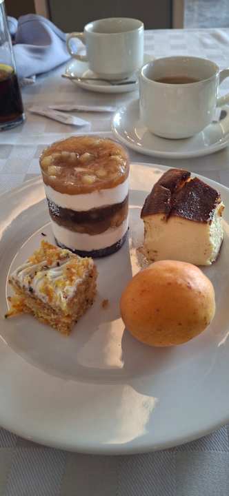 Gastro Seashell Vega