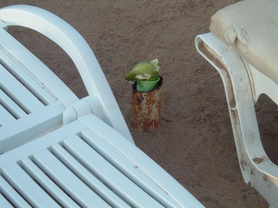 Ab und zu gibt es neue Mühleimer! Blend Club Aqua Resort