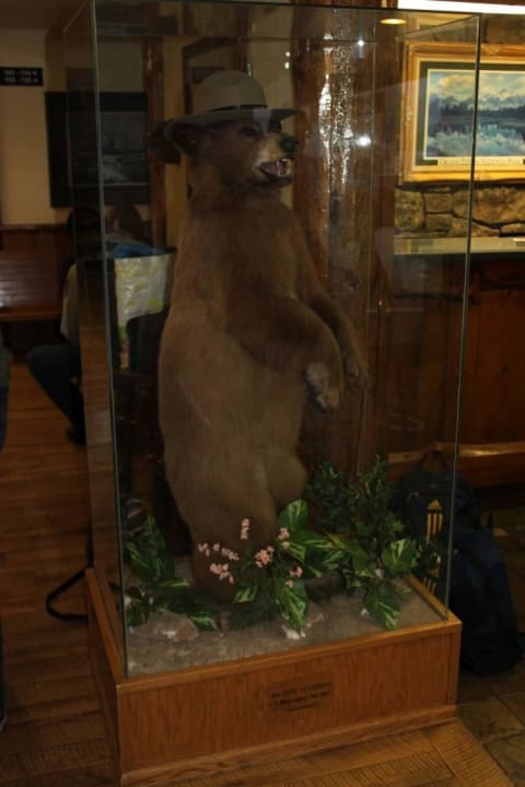 Eingangsbereich Super 8 Motel - Jackson Hole