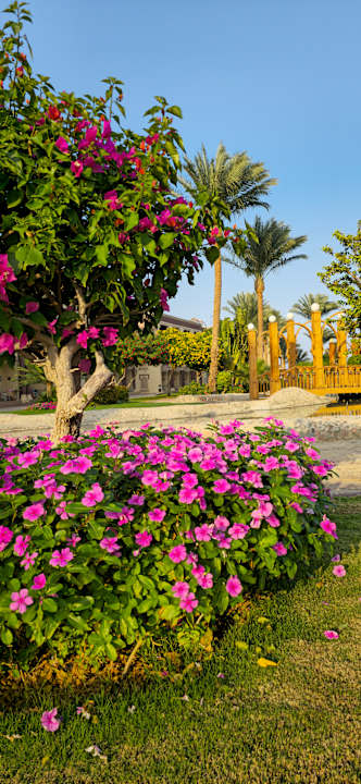 Gartenanlage Sentido Mamlouk Palace Resort