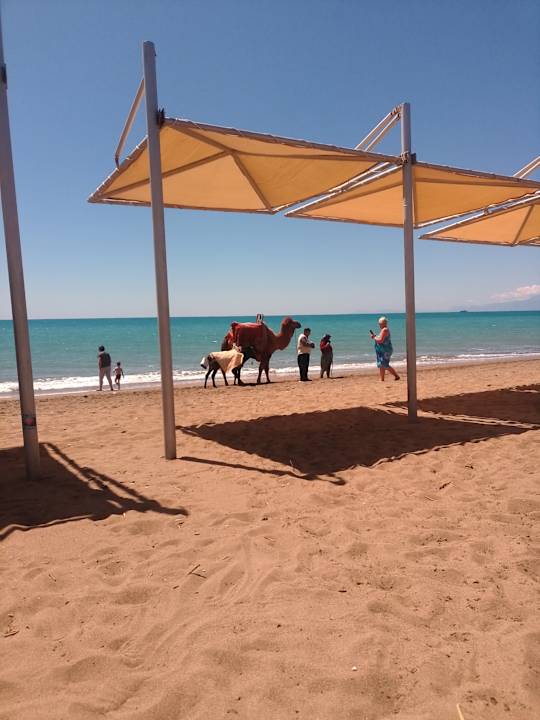 Strand Sherwood Dreams Resort