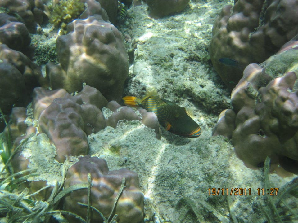 Океан Adaaran Select Hudhuran Fushi - Premium All Inclusive