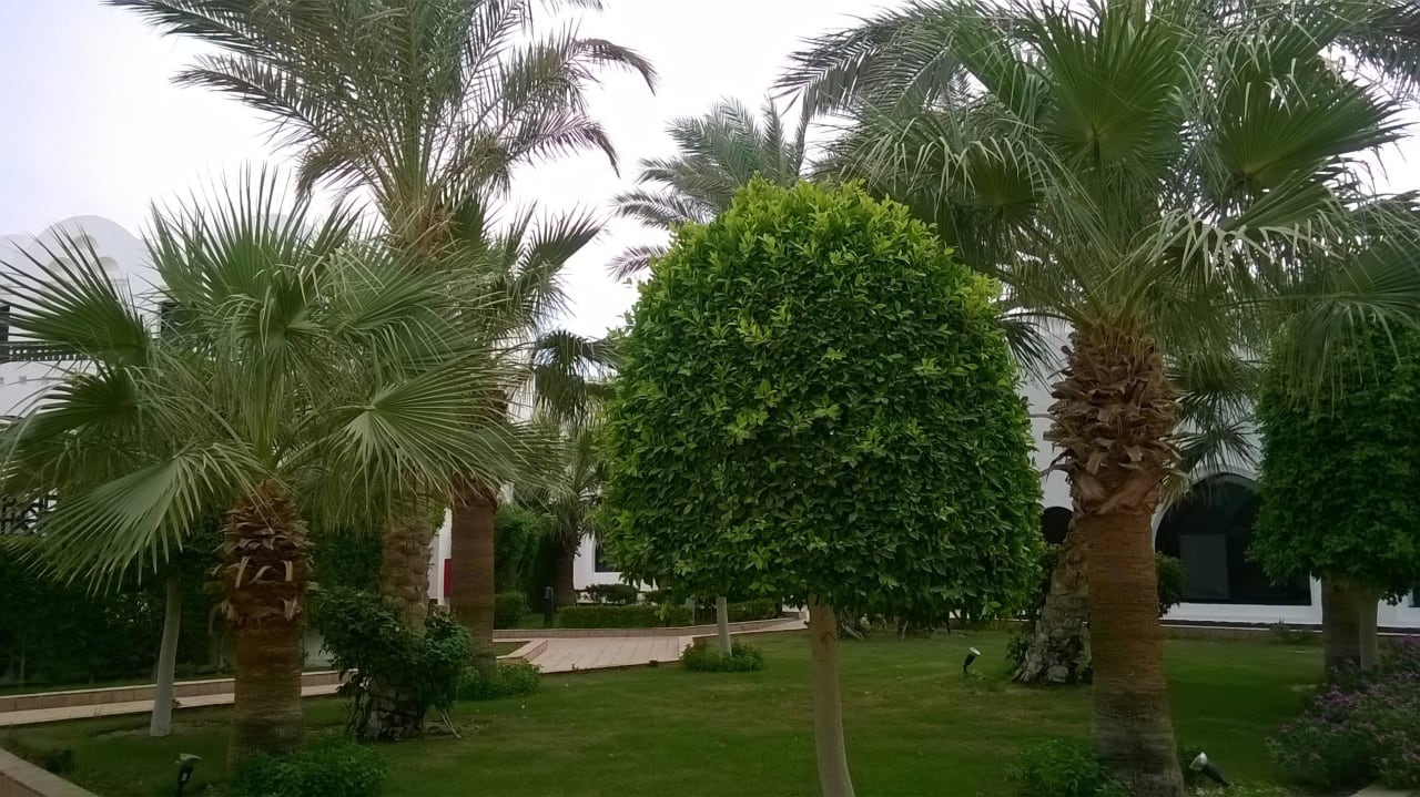 Sehr schön Arabella Azur Resort