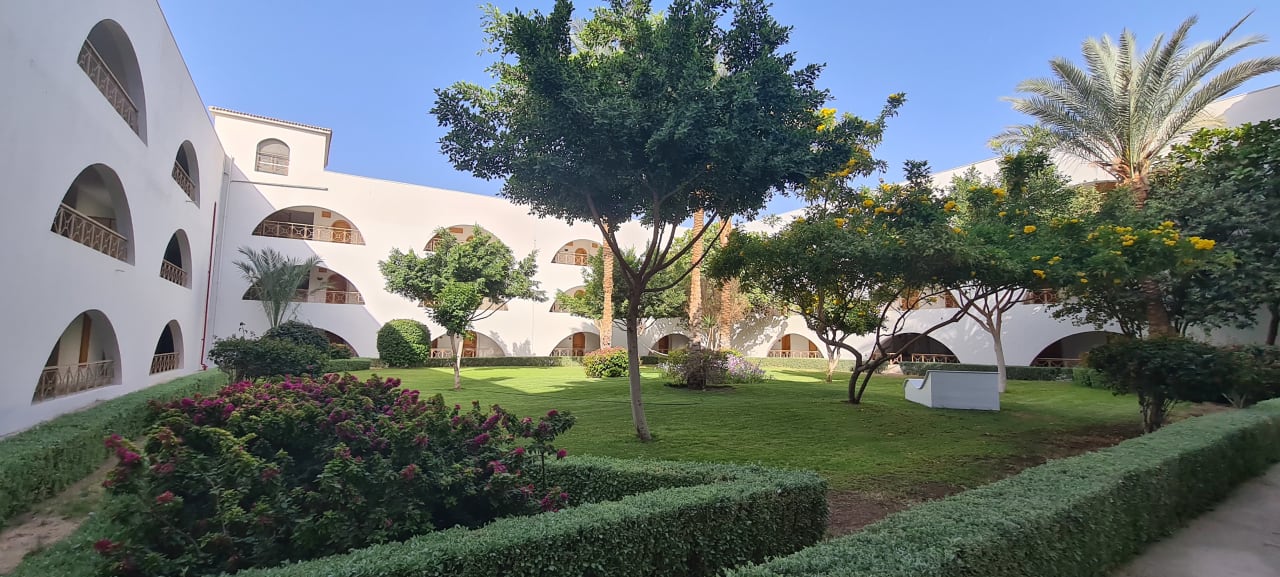 Gartenanlage Desert Rose