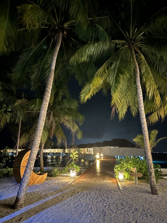 Gartenanlage Thulhagiri Island Resort