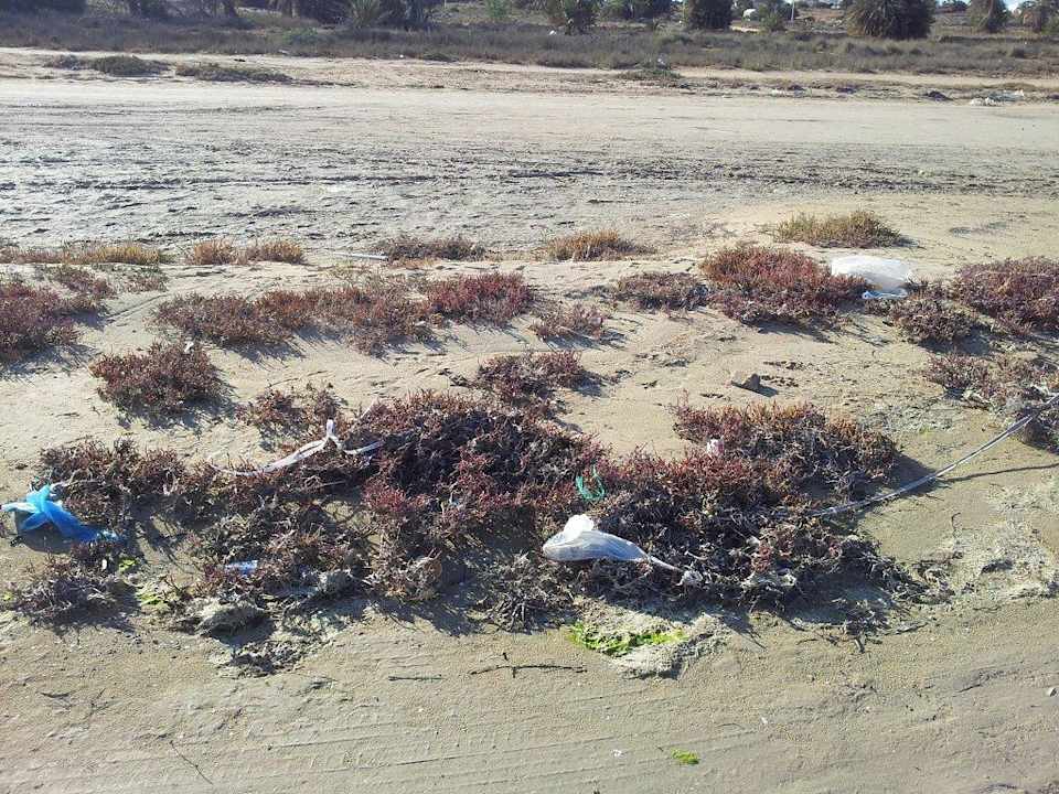 Außerhalb des Hotels Hotel El Mouradi Djerba Menzel