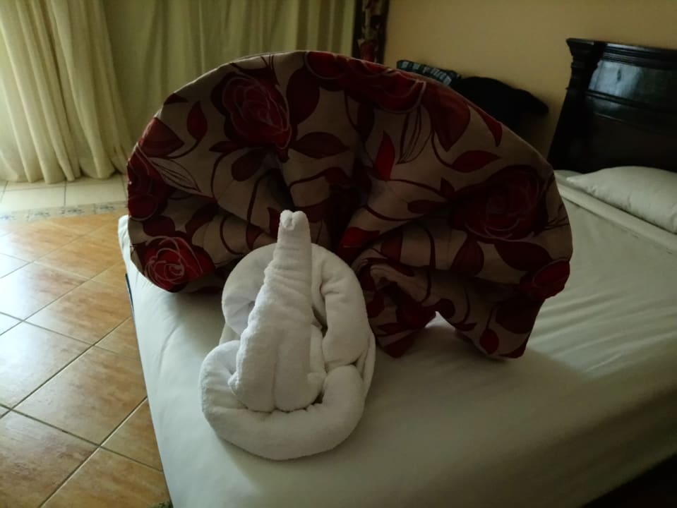 Zimmer Regency Plaza Aqua Park & Spa