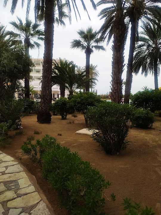 Gartenanlage Marhaba Royal Salem