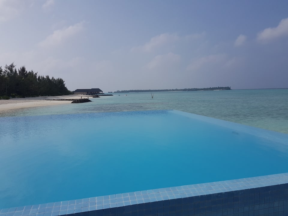 Pool Summer Island Maldives