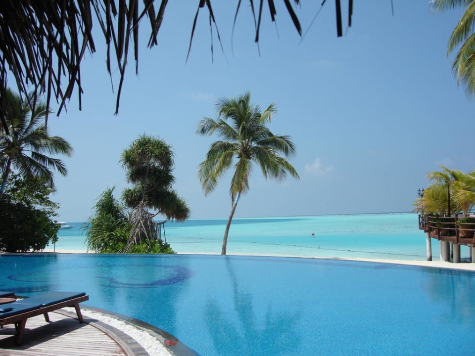Ausblick vom Pool aufs Meer Sun Siyam Vilu Reef