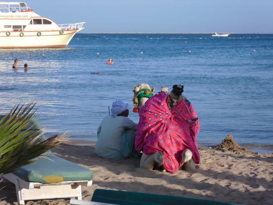 Kamelreiten am Strand Giftun Azur Resort