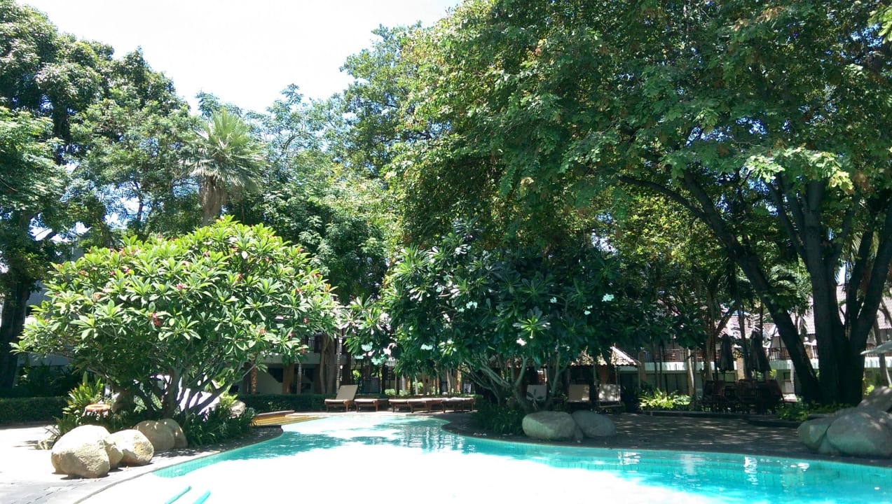 Und vieeel Grün... Woodlands Hotel & Resort