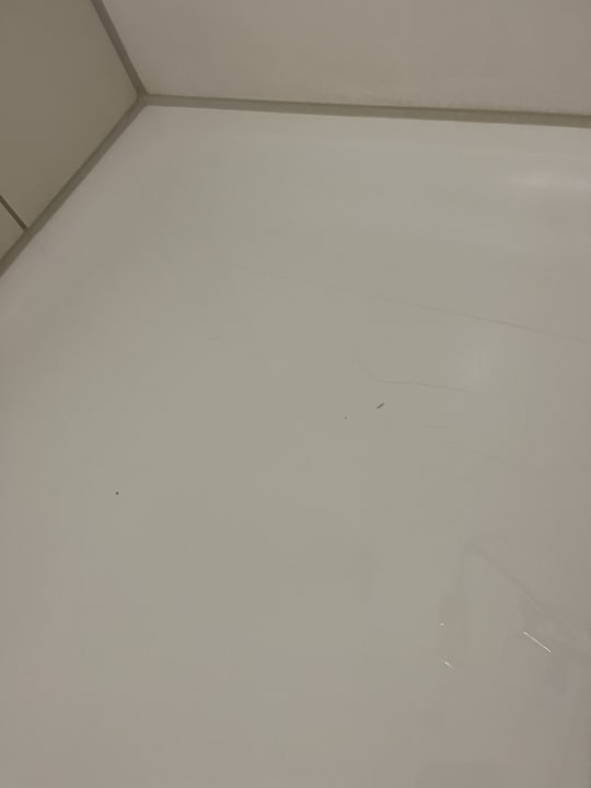 Zimmer Best Western Hotel Braunschweig Seminarius