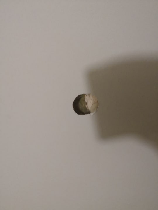 Zimmer Sandy Beach Resort