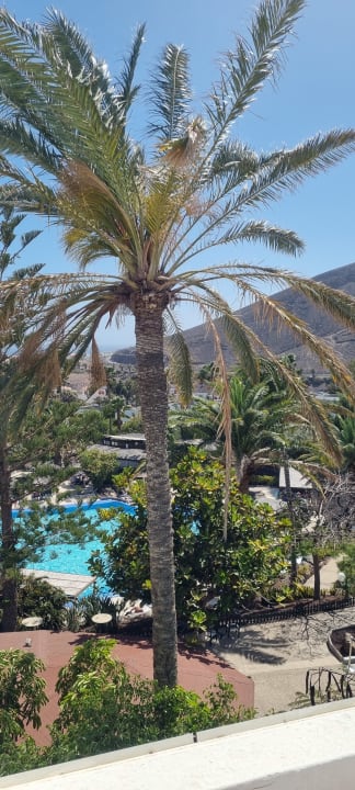 Ausblick allsun App.-Hotel Esquinzo Beach