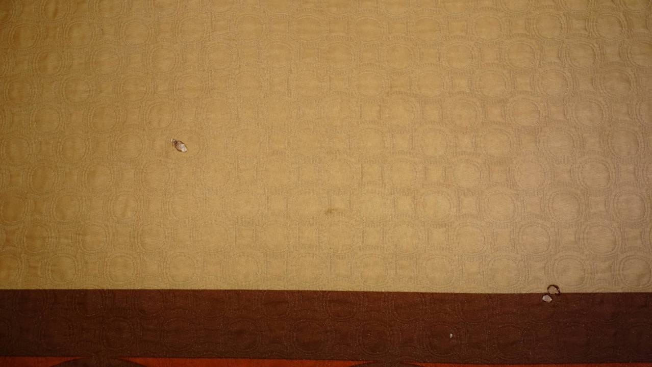 Brandlöcher Hotel Super 8 Taylor Detroit Area