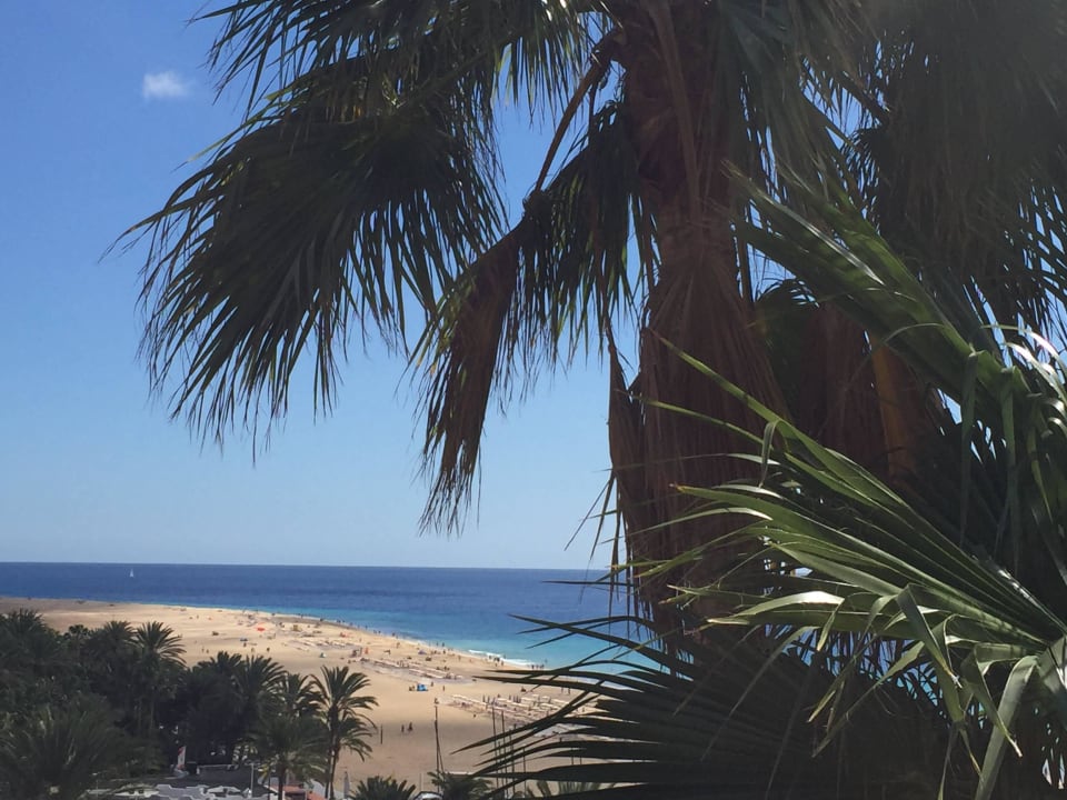 Ausblick vom Balkon Hotel Riu Palace Jandia