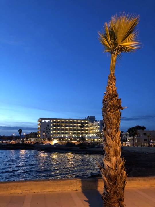 Außenansicht AluaSoul Palma