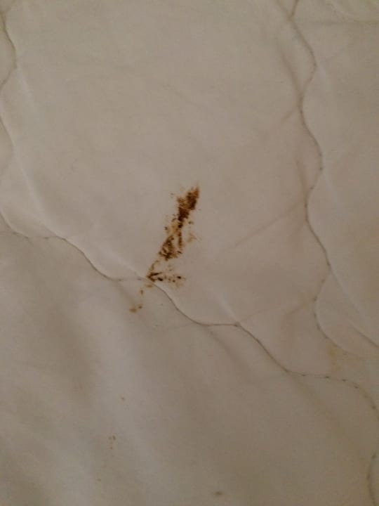 Zimmer BLUESEA Costa Jardin Spa