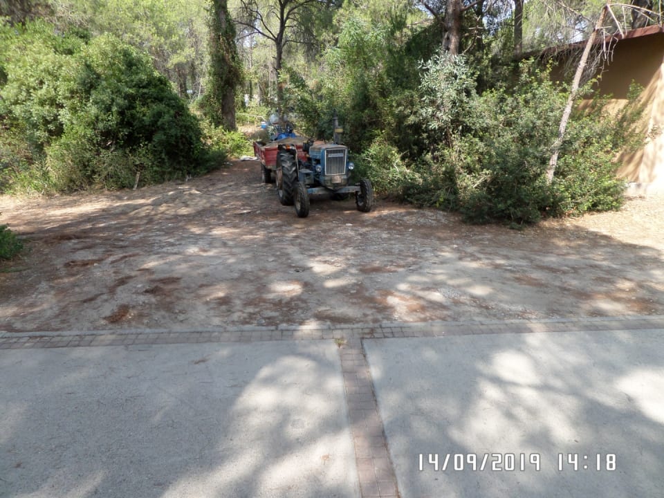 Garten Asteria Family Belek