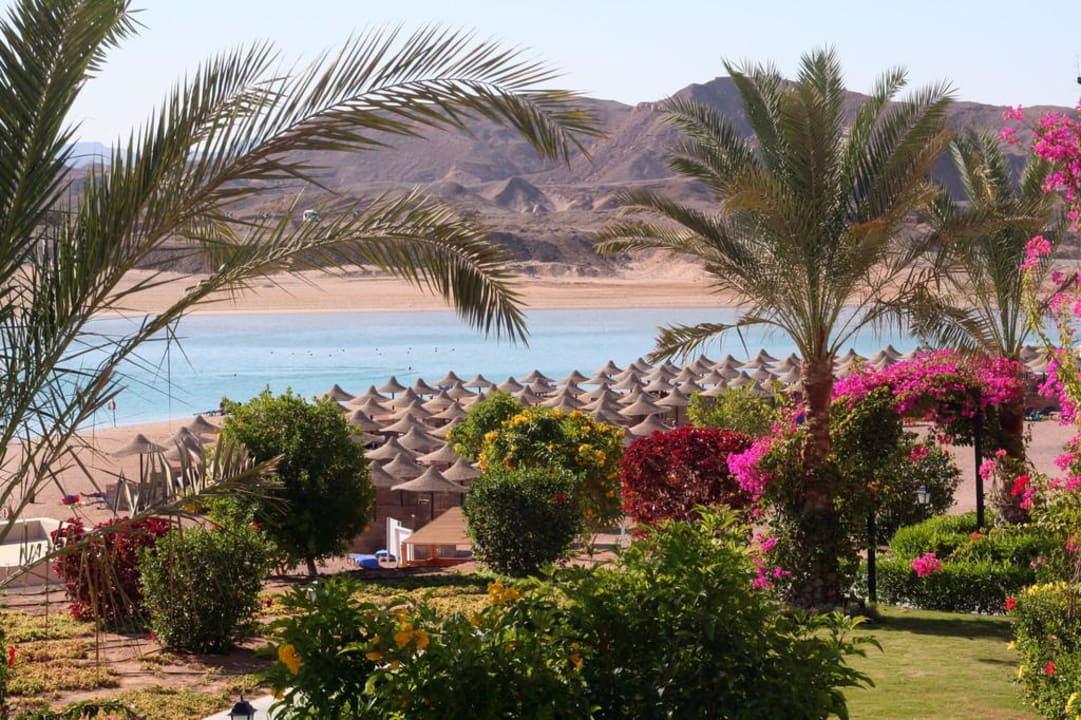 Strand vom Kalawy TUI MAGIC LIFE Kalawy