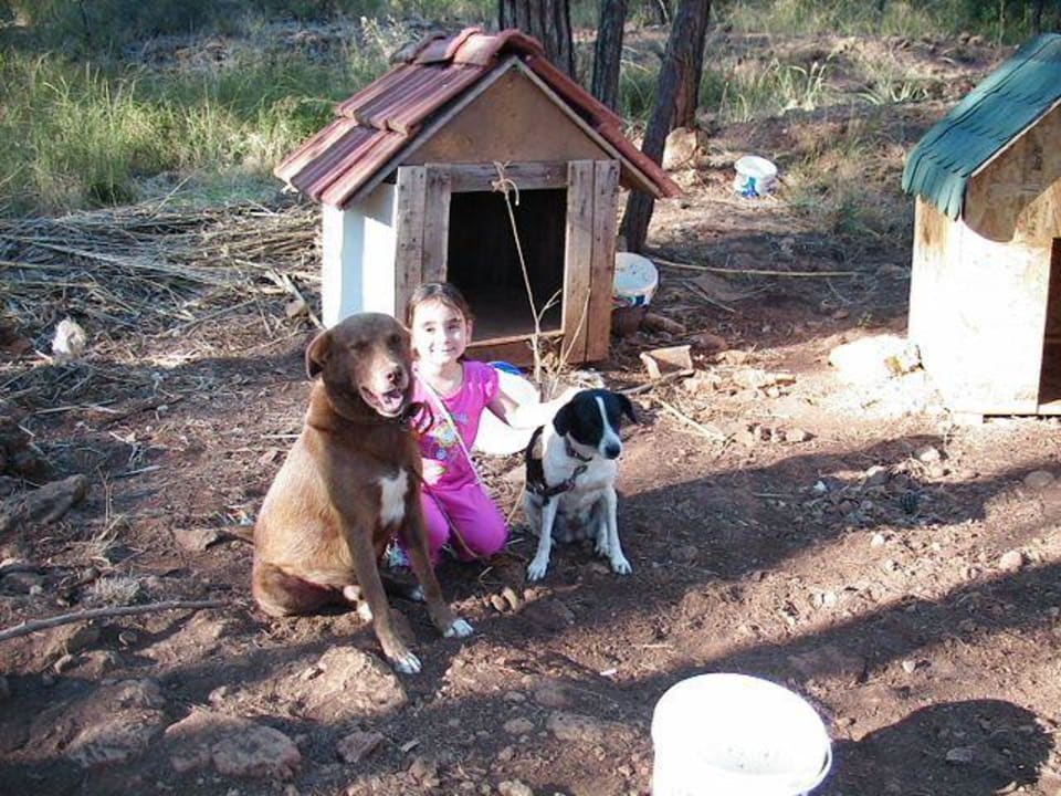 Hotelhunde "Kont" und "Bobby" Hotel Forest Park