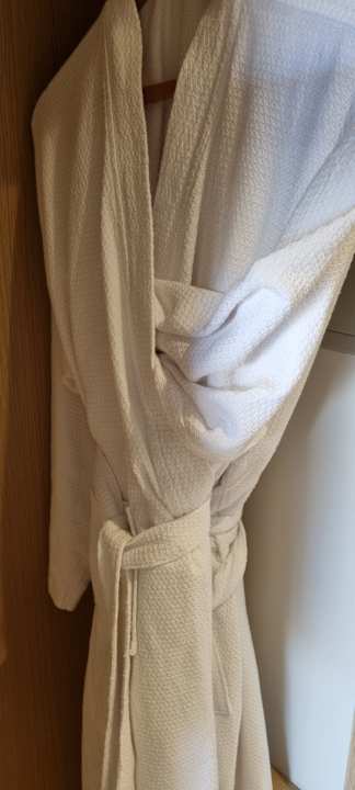 Zimmer JAZ Elite Asteria