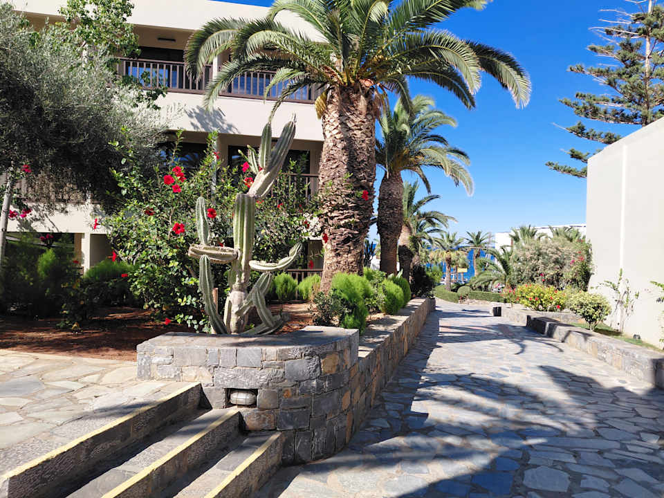 Gartenanlage allsun Hotel Malia Beach