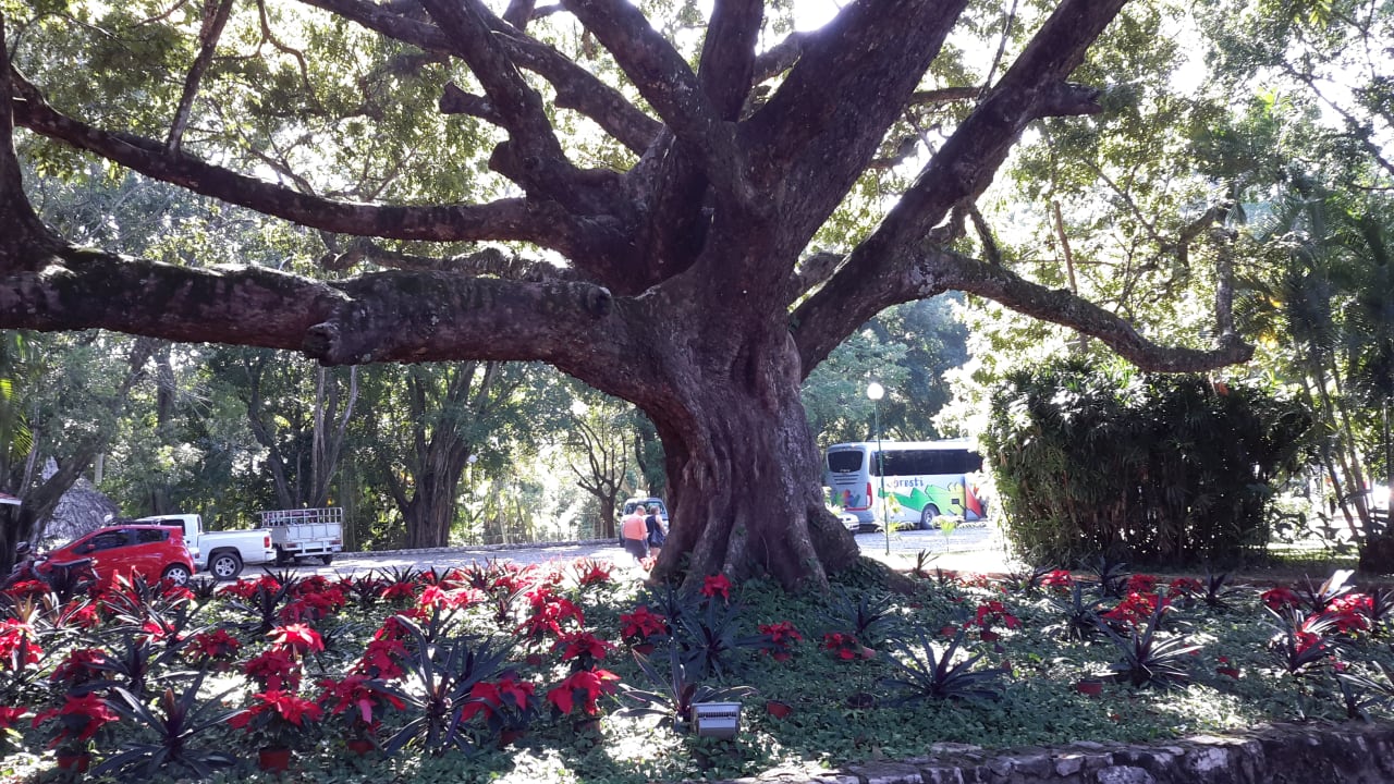 Gartenanlage Hotel Mision Palenque