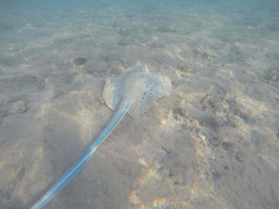 Strand Grand Waterworld Makadi