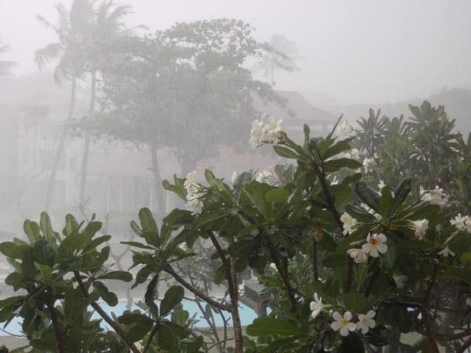Monsunregen Club Hotel Dolphin