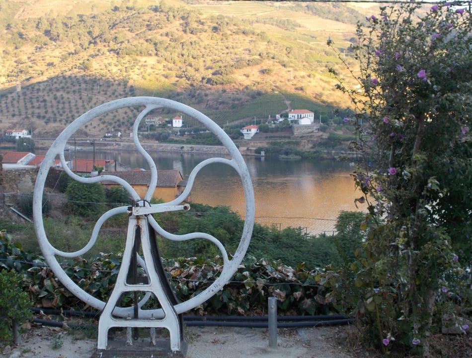 Sonnenaufgang am Douro Quinta Da Azenha