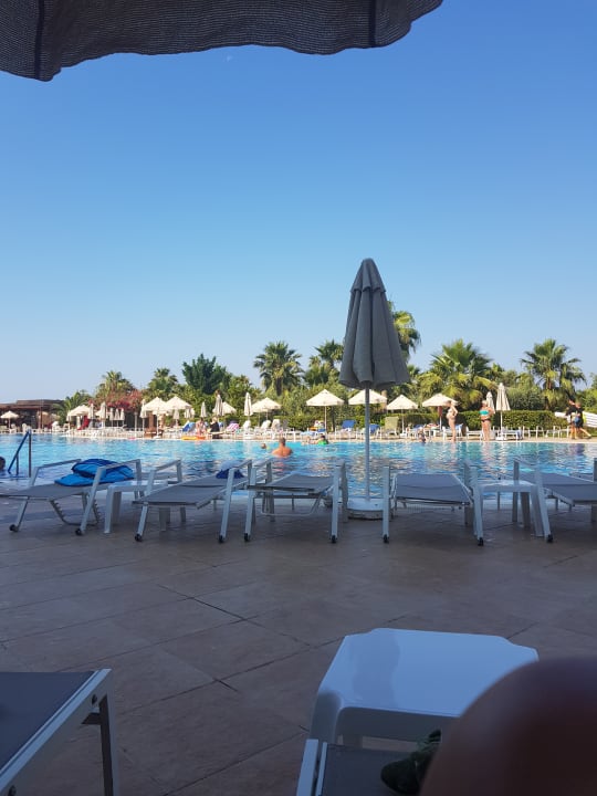 Pool Seaden Sea World Resort & Spa