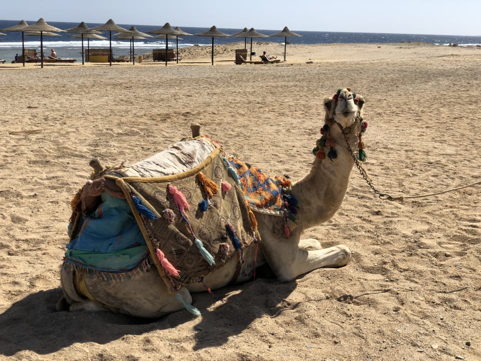 Sport & Freizeit Bliss Nada Beach Resort