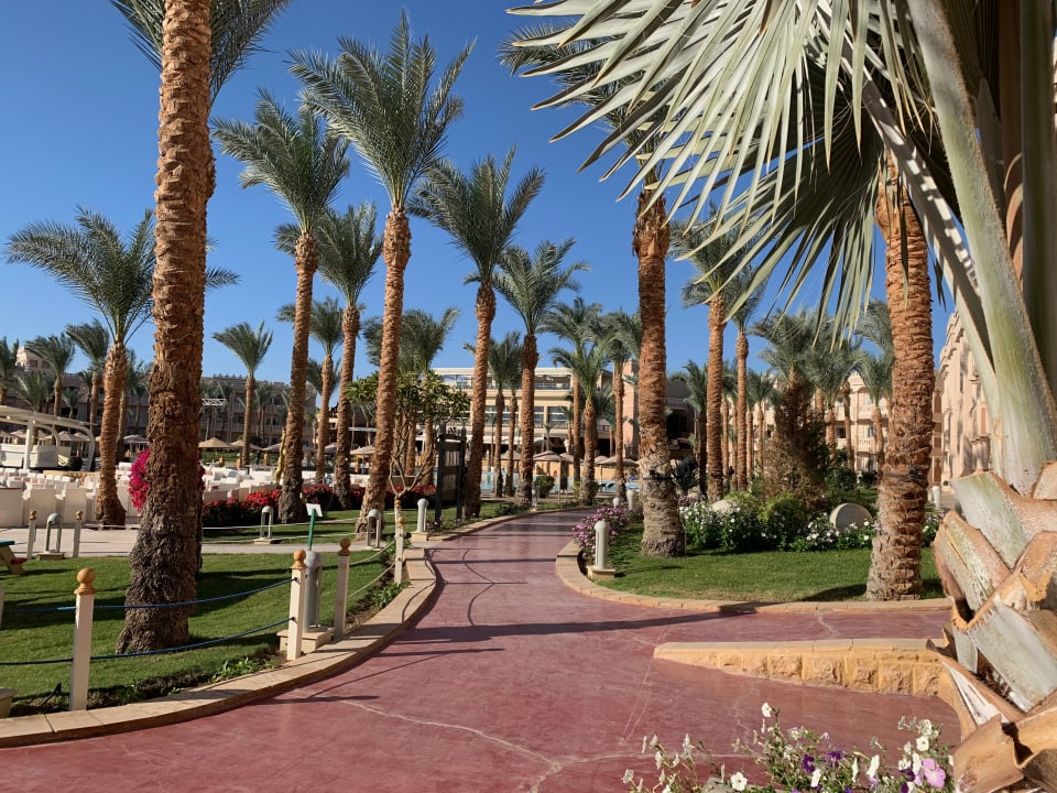 Gartenanlage Pickalbatros Palace Resort