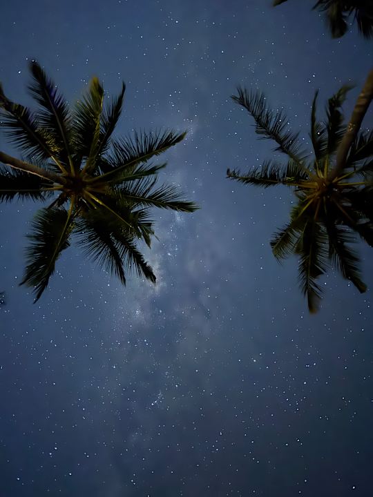Ausblick La Pirogue Mauritius