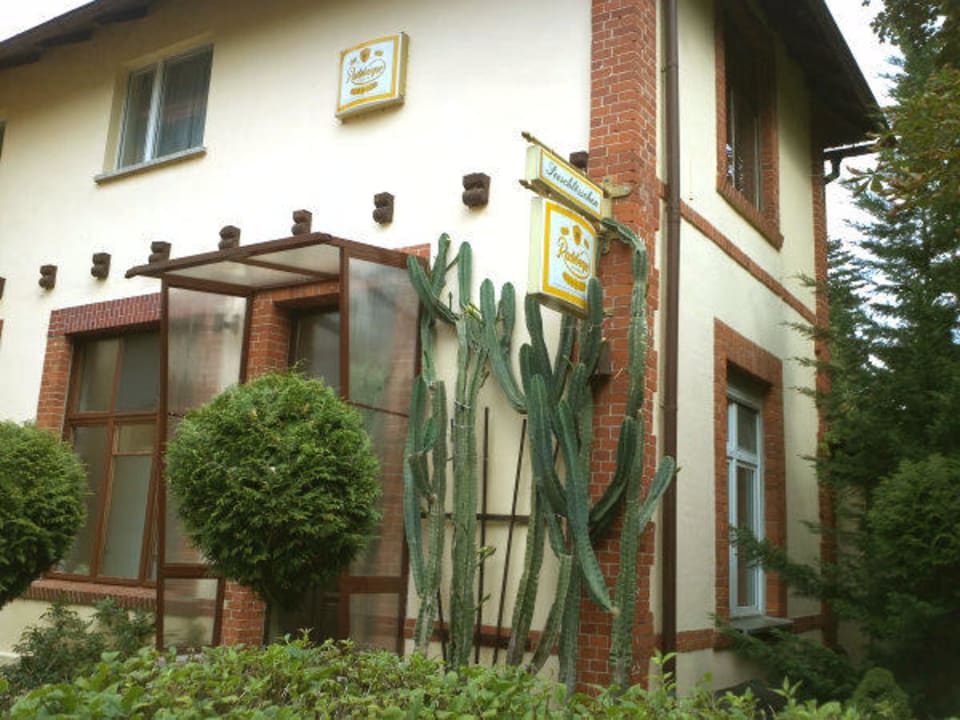 Riesige Kakteen Hotel Seeschlösschen