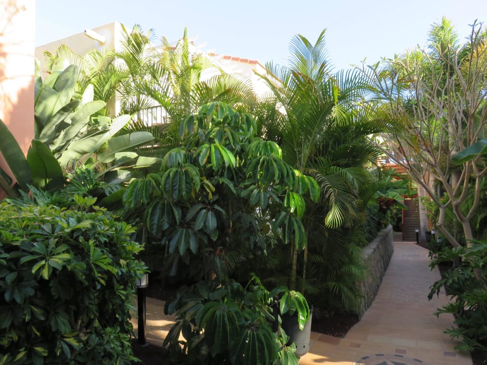 Wege zu den Suiten Hotel Cordial Mogán Playa