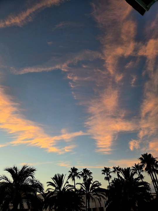 Außenansicht Calimera Fido Gardens