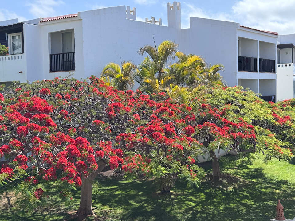 Außenansicht Esencia de Fuerteventura